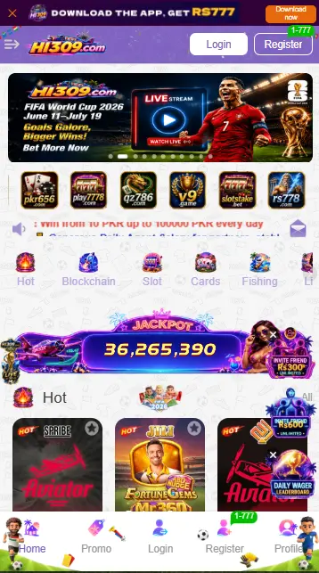 HI309 Game